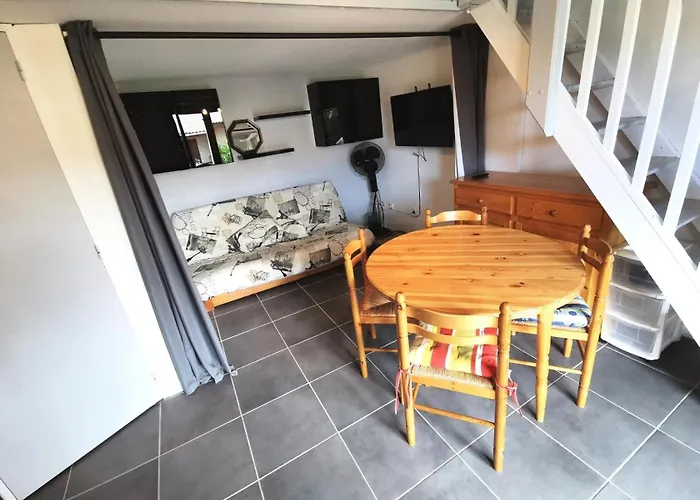 Grande Bleue - T2 Mezzanine 6 Couchages Port Mae-7264